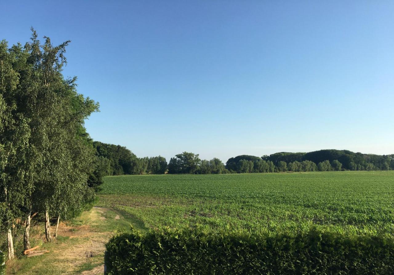 Gaestehaus Luessvitz Ummanz Esterno foto